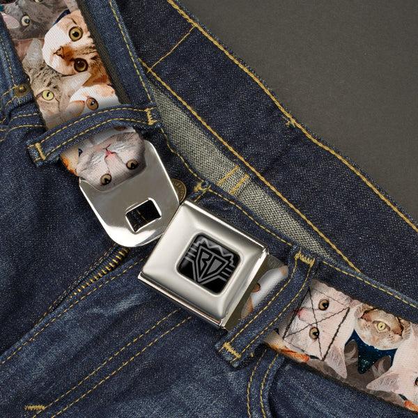 Buckle-Down BD Wings Logo CLOSE-UP Black/Silver Seatbelt Belt - Cat Faces Stacked Webbing
