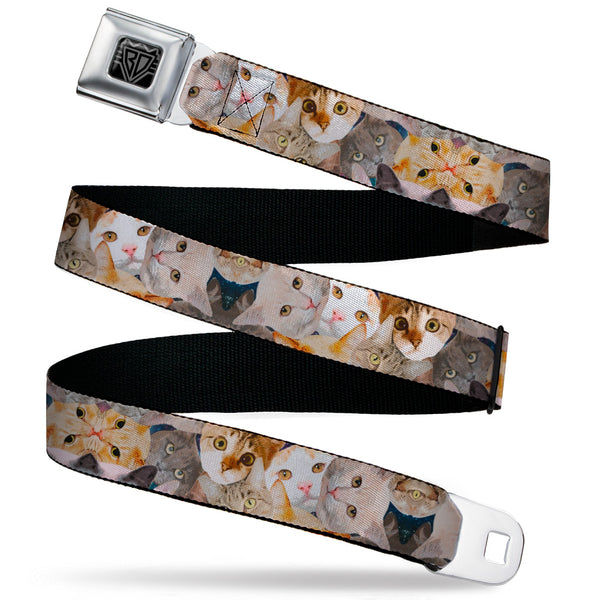 Buckle-Down BD Wings Logo CLOSE-UP Black/Silver Seatbelt Belt - Cat Faces Stacked Webbing