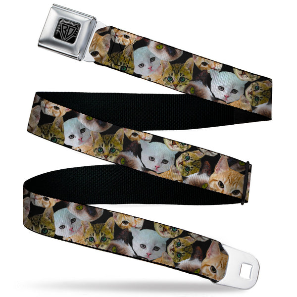 Buckle-Down BD Wings Logo CLOSE-UP Black/Silver Seatbelt Belt - Cat Faces Stacked2 Webbing
