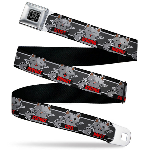 Buckle-Down BD Wings Logo CLOSE-UP Black/Silver Seatbelt Belt - Cat 6-Mood Poses/Stripe Black/White/Grays Webbing