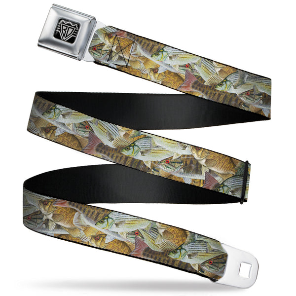 Buckle-Down BD Wings Logo CLOSE-UP Full Color Black Silver Seatbelt Belt - Fishes Stacked Webbing