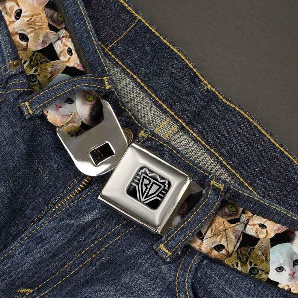 Buckle-Down BD Wings Logo CLOSE-UP Full Color Black Silver Seatbelt Belt - Kitten Faces Scattered Black Webbing