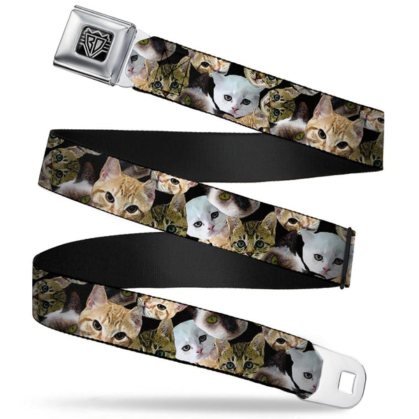 Buckle-Down BD Wings Logo CLOSE-UP Full Color Black Silver Seatbelt Belt - Kitten Faces Scattered Black Webbing