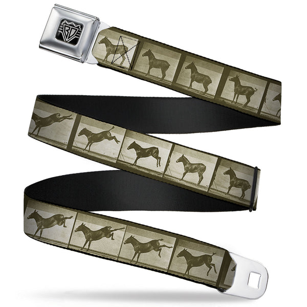 Buckle-Down BD Wings Logo CLOSE-UP Full Color Black Silver Seatbelt Belt - Bucking Donkey Vintage Film Strip Webbing