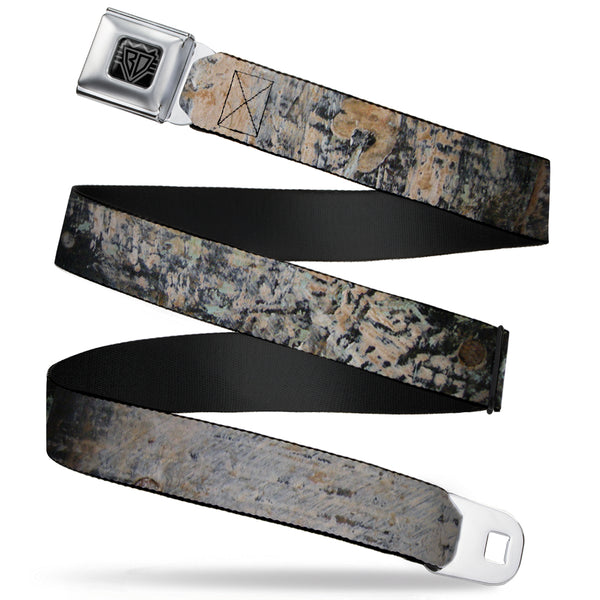 Buckle-Down BD Wings Logo CLOSE-UP Full Color Black Silver Seatbelt Belt - Rustic Concrete Panels Webbing