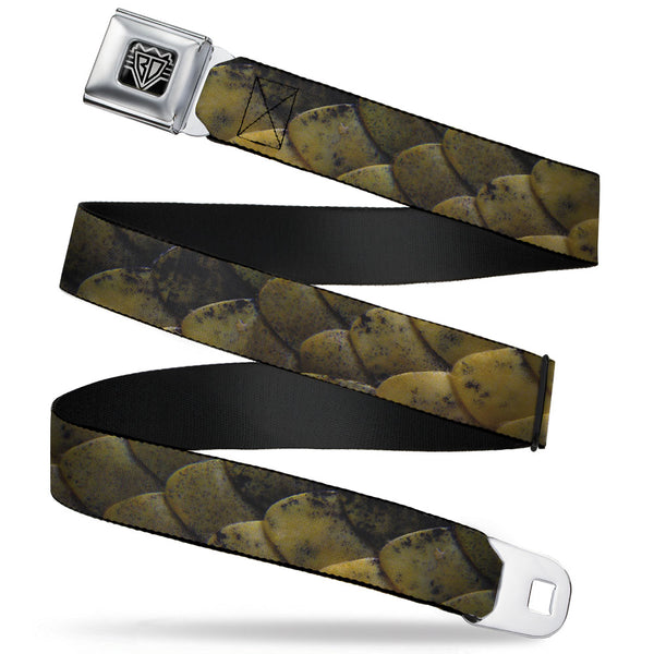 Buckle-Down BD Wings Logo CLOSE-UP Full Color Black Silver Seatbelt Belt - Snake Skin CLOSE-UP Webbing