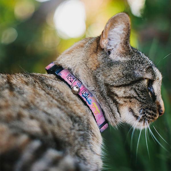 Buckle-Down Breakaway Cat Collar With Bell - BARBIE Script Signature Collage Pink/Multi Color