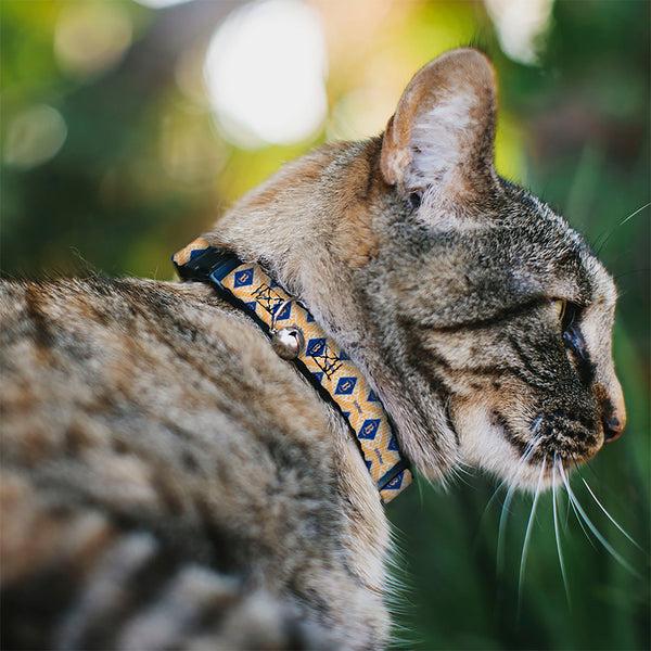 Buckle-Down Breakaway Cat Collar With Bell - HARRY POTTER Butterbeer Diamond Logo White/Yellow/Blue