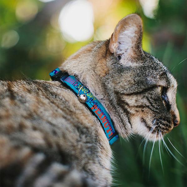 Buckle-Down Breakaway Cat Collar With Bell - PEANUTS Charlie Brown Snoopy And Woodstock Typography Collage Blue/Multi Color