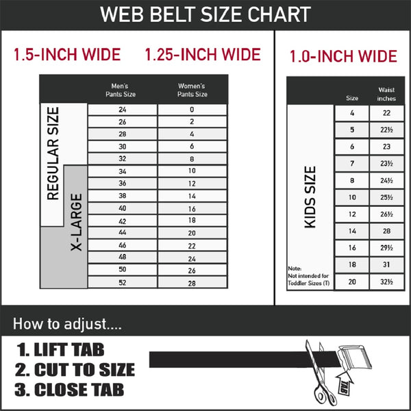 Buckle-Down Chrome Buckle Web Belt - Black Webbing