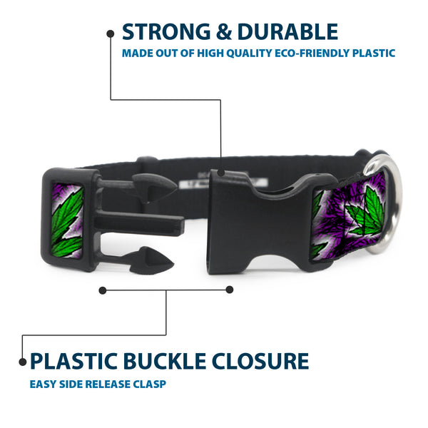 Buckle-Down Buckle-Down Plastic Buckle Dog Collar - Marijuana Haze Purple