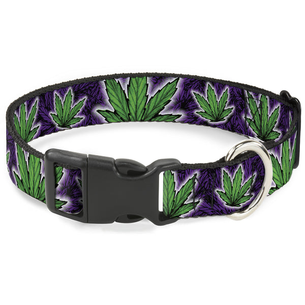 Buckle-Down Buckle-Down Plastic Buckle Dog Collar - Marijuana Haze Purple