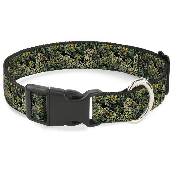 Buckle-Down Buckle-Down Plastic Buckle Dog Collar - Nuggets Stacked