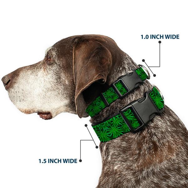 Buckle-Down Buckle-Down Plastic Buckle Dog Collar - Vivid Marijuana Leaves Stacked