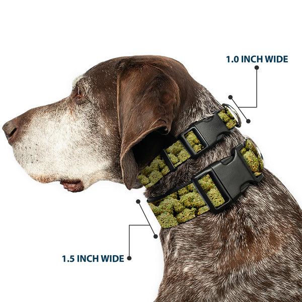 Buckle-Down Buckle-Down Plastic Buckle Dog Collar - Vivid Marijuana Nugs2 Stacked