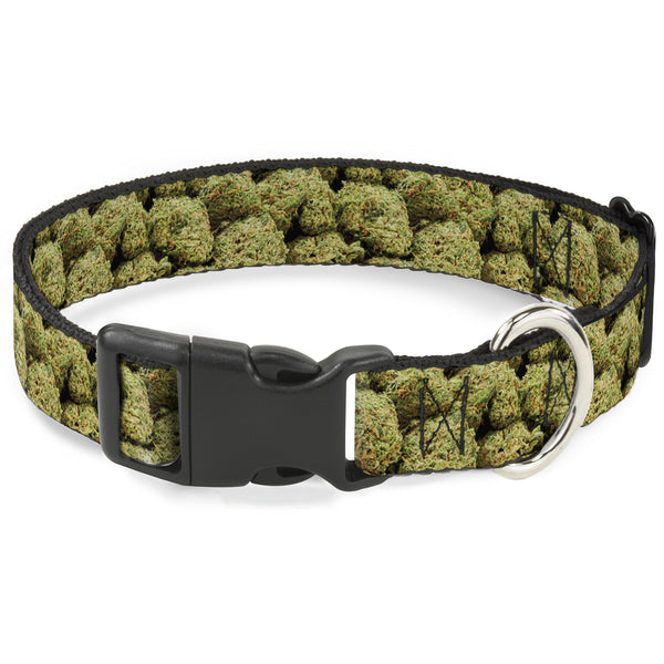 Buckle-Down Buckle-Down Plastic Buckle Dog Collar - Vivid Marijuana Nugs2 Stacked