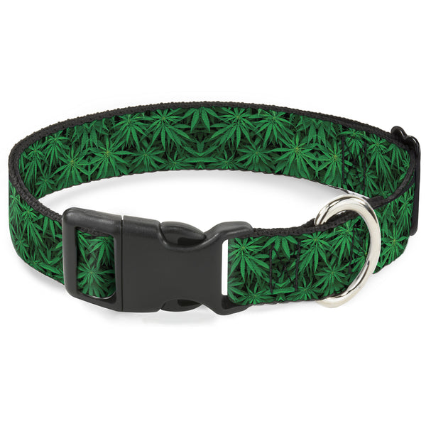 Buckle-Down Buckle-Down Plastic Buckle Dog Collar - Vivid Marijuana Leaves Stacked