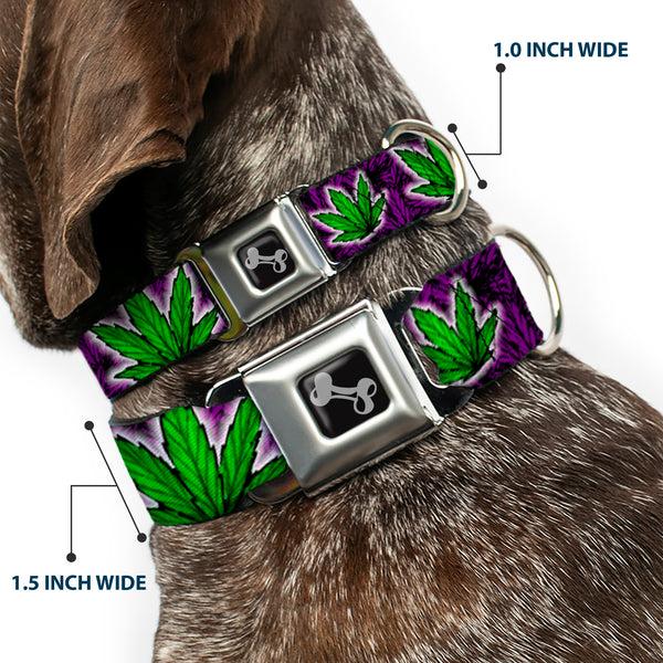 Buckle-Down Buckle-Down Seatbelt Buckle Dog Collar - Marijuana Haze Purple