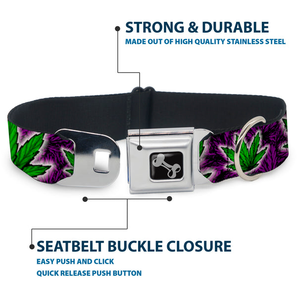 Buckle-Down Buckle-Down Seatbelt Buckle Dog Collar - Marijuana Haze Purple