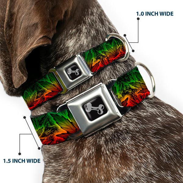Buckle-Down Buckle-Down Seatbelt Buckle Dog Collar - Marijuana Haze Rasta/Rasta