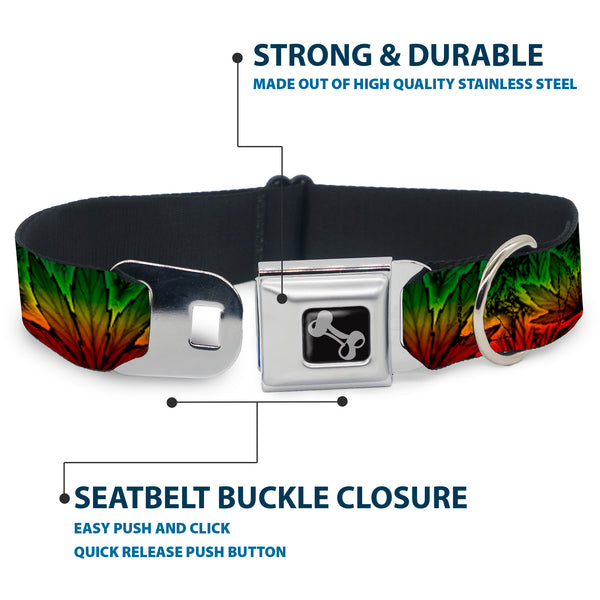 Buckle-Down Buckle-Down Seatbelt Buckle Dog Collar - Marijuana Haze Rasta/Rasta