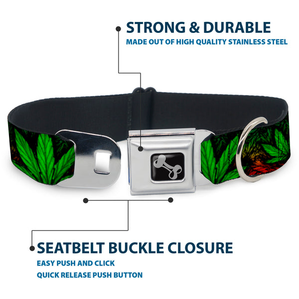 Buckle-Down Buckle-Down Seatbelt Buckle Dog Collar - Marijuana Haze Rasta/Black