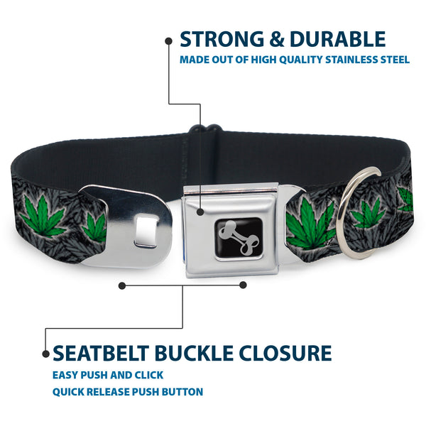 Buckle-Down Buckle-Down Seatbelt Buckle Dog Collar - Marijuana Haze Black