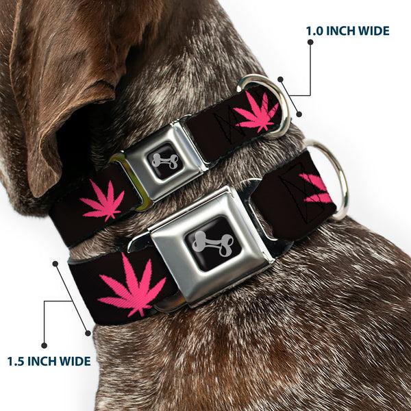 Buckle-Down Buckle-Down Seatbelt Buckle Dog Collar - Marijuana Leaf Repeat Black/Pink