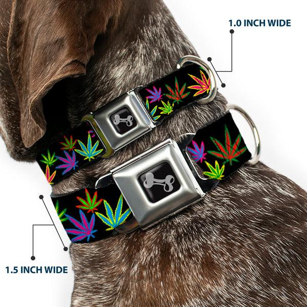 Buckle-Down Buckle-Down Seatbelt Buckle Dog Collar - Multi Marijuana Leaves Black/Multi Color