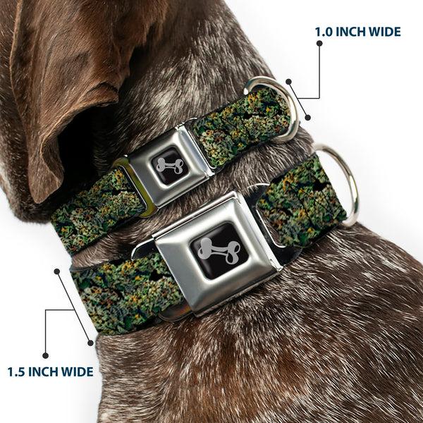 Buckle-Down Buckle-Down Seatbelt Buckle Dog Collar - Nuggets Stacked