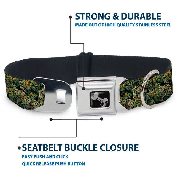 Buckle-Down Buckle-Down Seatbelt Buckle Dog Collar - Nuggets Stacked