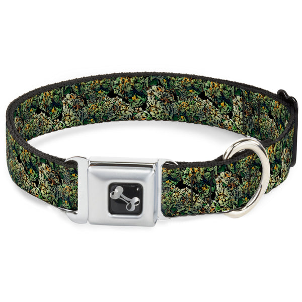 Buckle-Down Buckle-Down Seatbelt Buckle Dog Collar - Nuggets Stacked