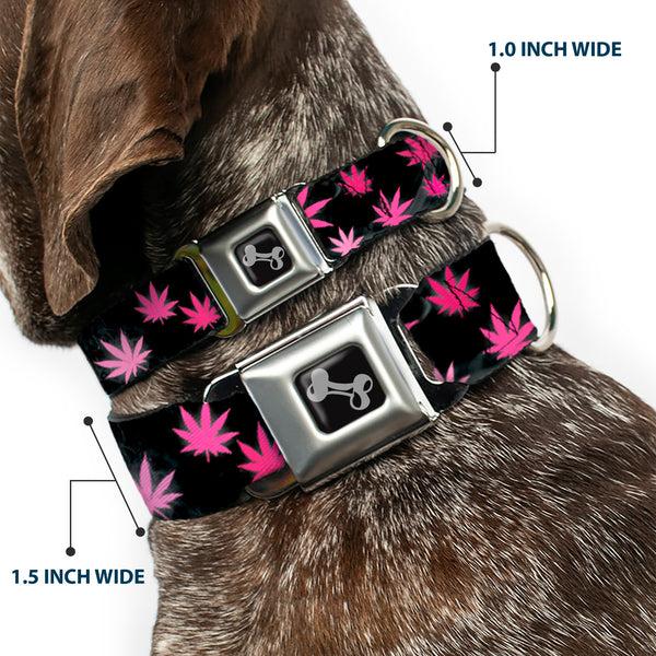Buckle-Down Buckle-Down Seatbelt Buckle Dog Collar - Pot Leaves/Smoke Black/Pink/White