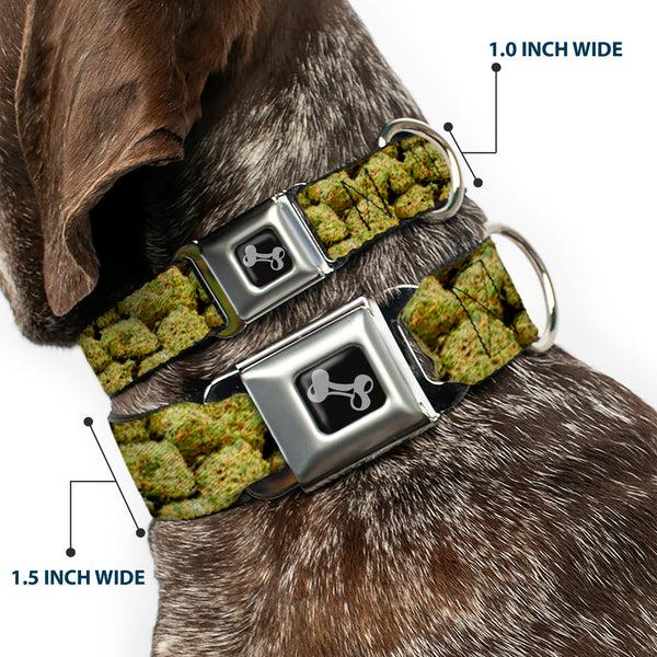 Buckle-Down Buckle-Down Seatbelt Buckle Dog Collar - Vivid Marijuana Nugs2 Stacked
