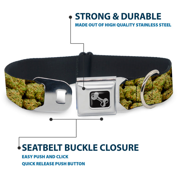 Buckle-Down Buckle-Down Seatbelt Buckle Dog Collar - Vivid Marijuana Nugs2 Stacked