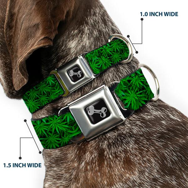 Buckle-Down Buckle-Down Seatbelt Buckle Dog Collar - Vivid Marijuana Leaves Stacked