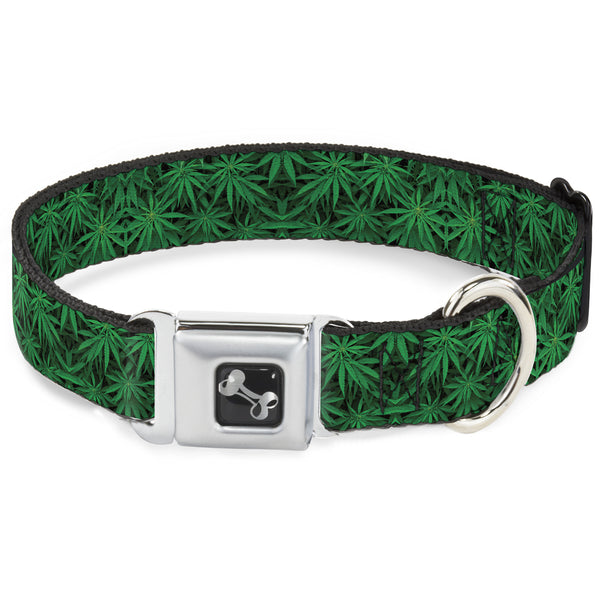Buckle-Down Buckle-Down Seatbelt Buckle Dog Collar - Vivid Marijuana Leaves Stacked