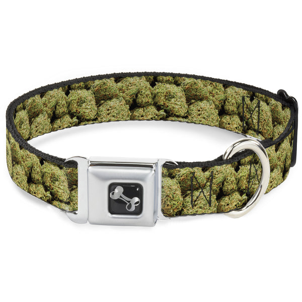 Buckle-Down Buckle-Down Seatbelt Buckle Dog Collar - Vivid Marijuana Nugs2 Stacked
