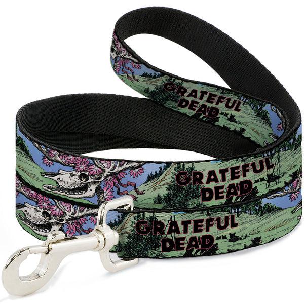 Buckle-Down Dog Leash - Grateful Dead Dave's Picks Volume Nine Montana Cover Art