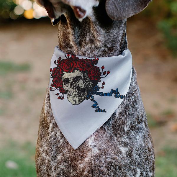 Buckle-Down Pet Bandana - Grateful Dead Skull And Rose Face White