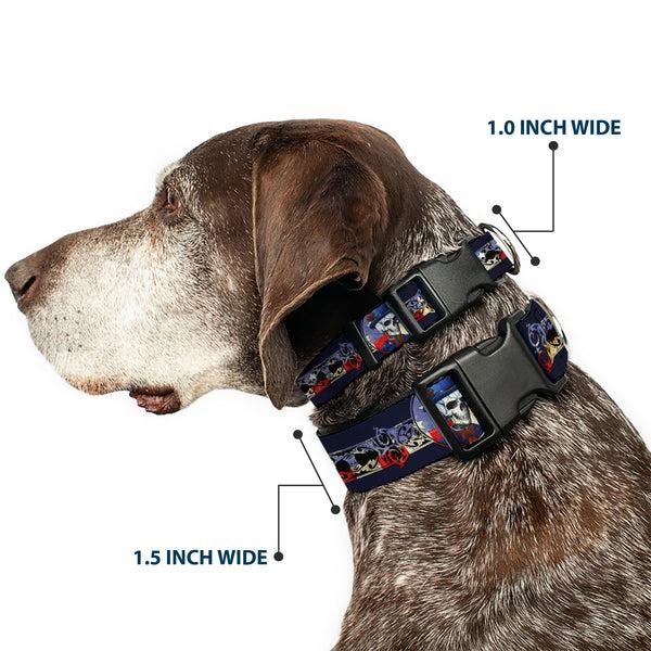 Buckle-Down Plastic Clip Collar - Grateful Dead Dave's Picks Skeleton Americana Bonus Art