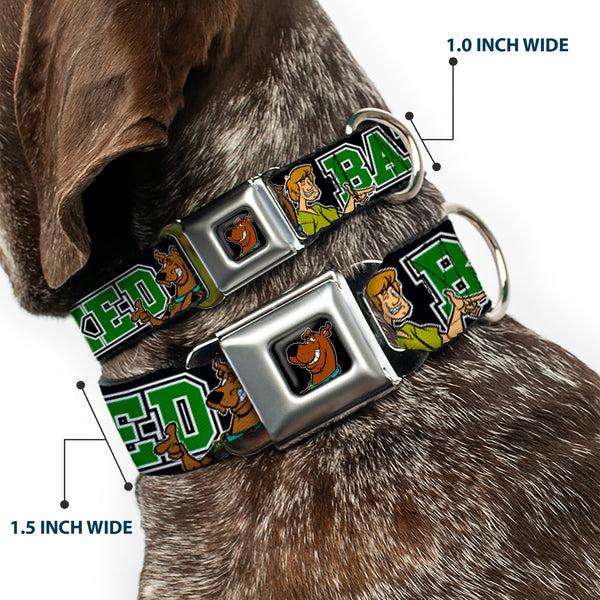 Buckle-Down Scooby Doo Face Full Color Black Seatbelt Buckle Collar - Scooby Doo & Shaggy Pose/BAKED Black/Green