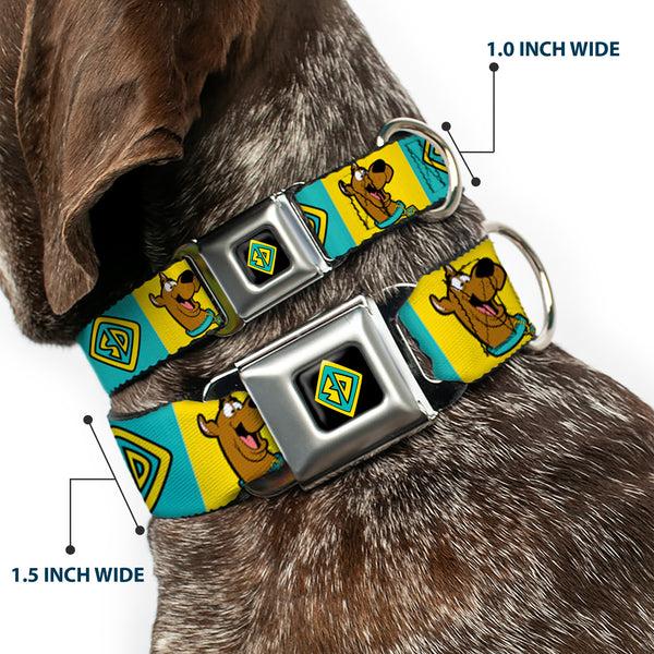 Buckle-Down SD Dog Tag Full Color Black/Yellow/Blue Seatbelt Buckle Collar - Scooby Doo Pose And Dog Tag Blocks Yellow/Blue